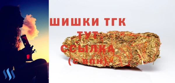 молекула духа Новозыбков
