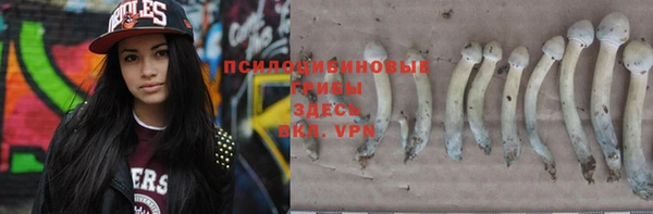 винт Магас