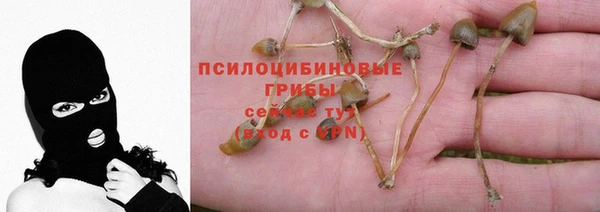винт Магас