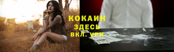 молекула духа Новозыбков