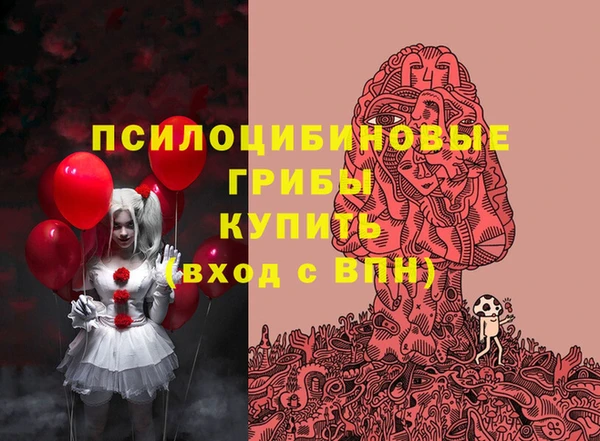 a pvp Мегион